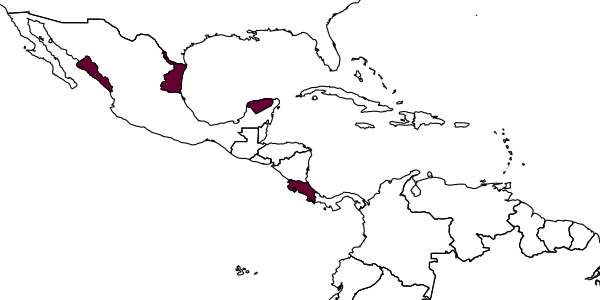 map of Messatoporus propodeator     Kasparyan & Ruíz, 2005